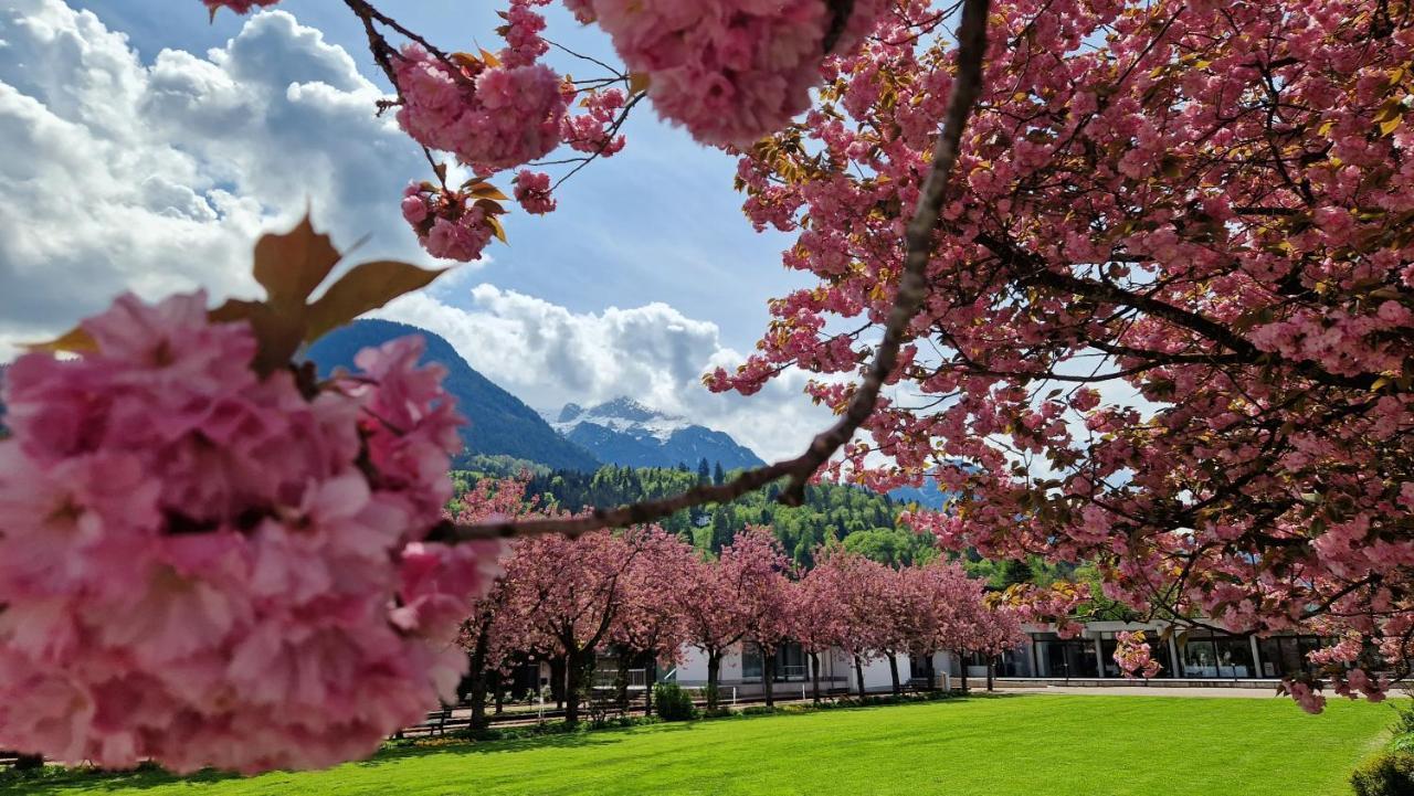 Haus Weidau Apartman Berchtesgaden Kültér fotó